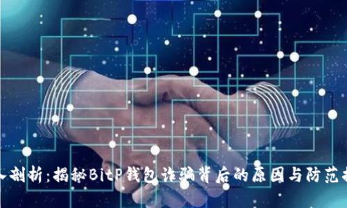 深入剖析：揭秘BitP钱包诈骗背后的原因与防范措施