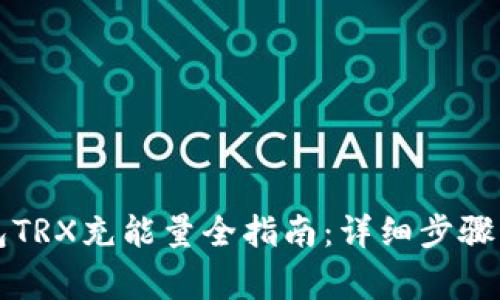 比特派钱包TRX充能量全指南：详细步骤与注意事项