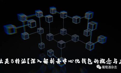什么是B特派？深入解析去中心化钱包的概念与应用