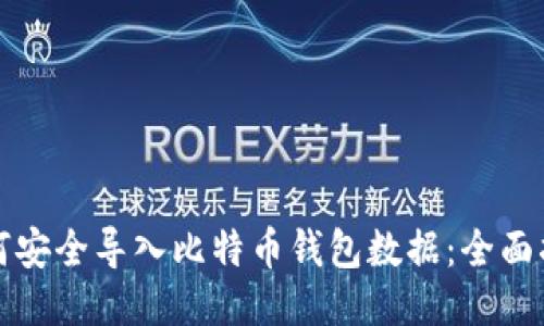 如何安全导入比特币钱包数据：全面指南