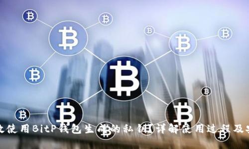 如何有效使用BitP钱包生成的私钥？详解使用过程及安全管理