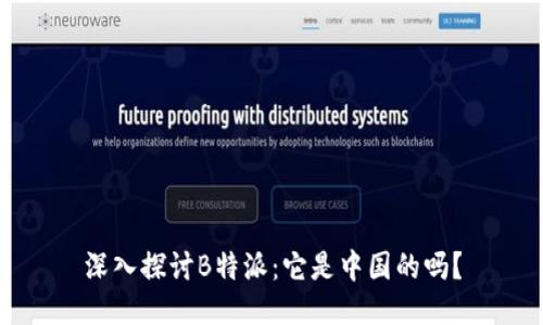 深入探讨B特派：它是中国的吗？