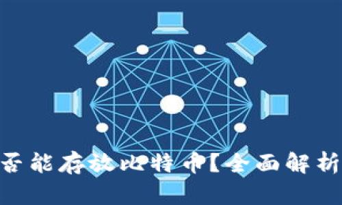 ETH钱包是否能存放比特币？全面解析与实用指南
