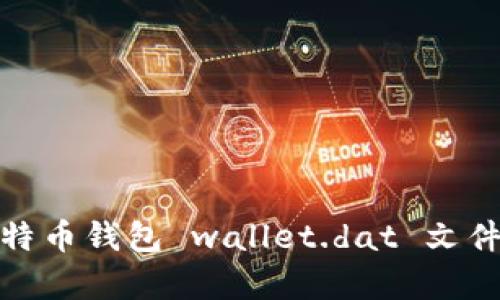 全面解析比特币钱包 wallet.dat 文件及其安全性