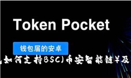 比特派钱包如何支持BSC（币安智能链）及其功能解析