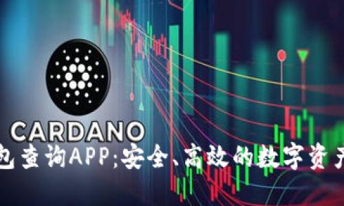 区块链钱包查询APP：安全、高效的数字资产管理工具