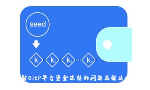 了解BitP平台资金冻结的问题及解决方案