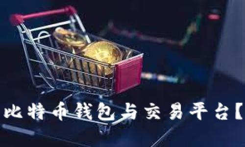 如何选择合适的比特币钱包与交易平台？全面指南与比较