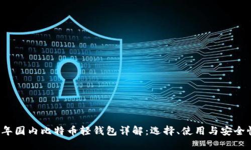 2023年国内比特币轻钱包详解：选择、使用与安全性分析