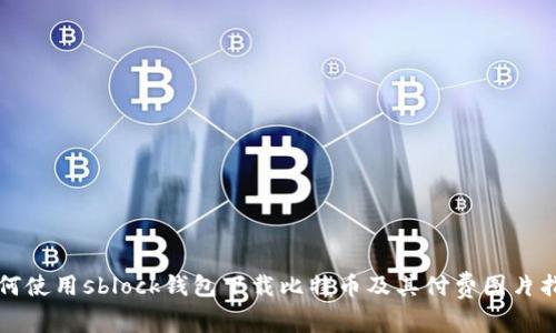 如何使用sblock钱包下载比特币及其付费图片指南