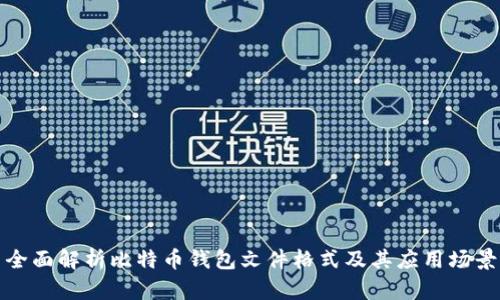 全面解析比特币钱包文件格式及其应用场景