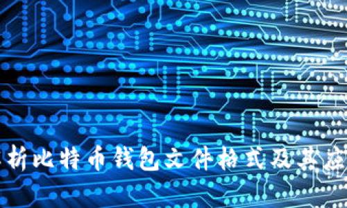 全面解析比特币钱包文件格式及其应用场景