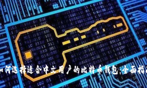 如何选择适合中文用户的比特币钱包：全面指南