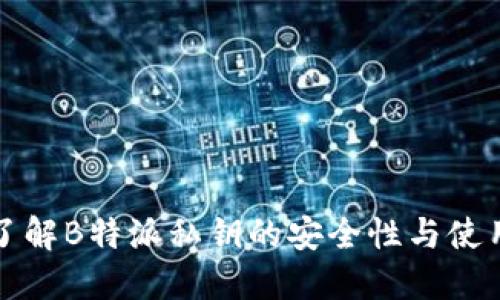 深入了解B特派私钥的安全性与使用技巧