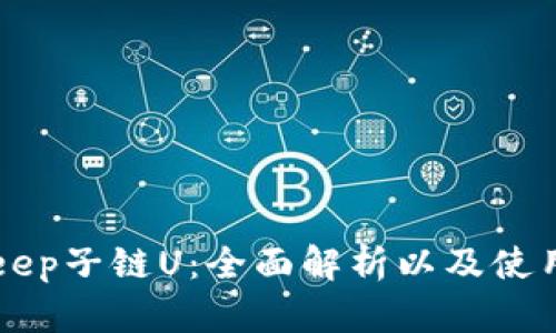 BitKeep子链U：全面解析以及使用技巧
