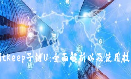 BitKeep子链U：全面解析以及使用技巧
