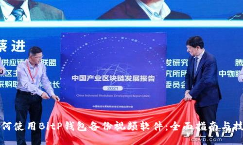 如何使用BitP钱包备份视频软件：全面指南与技巧