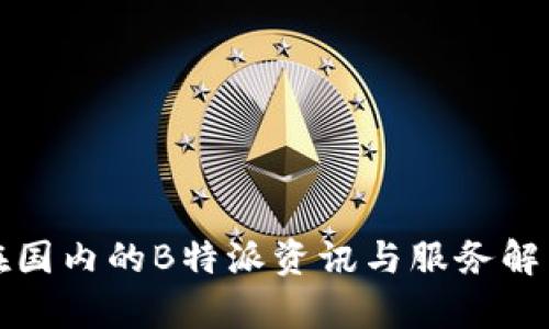 在国内的B特派资讯与服务解析