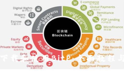 如何下载和使用BitP：全面教程与技巧