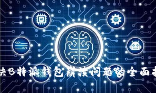 解决B特派钱包崩溃问题的全面指南