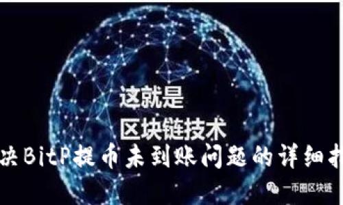 解决BitP提币未到账问题的详细指南