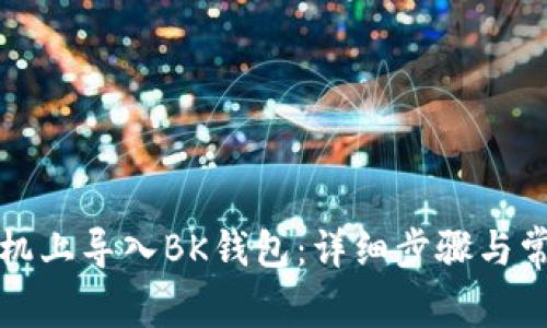 如何在新手机上导入BK钱包：详细步骤与常见问题解答