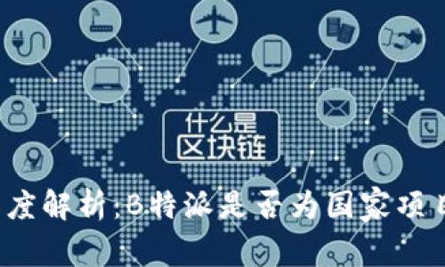 深度解析：B特派是否为国家项目？