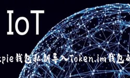如何将Bitpie钱包私钥导入Token.im钱包的详细指南