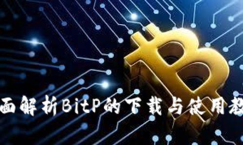 全面解析BitP的下载与使用教程