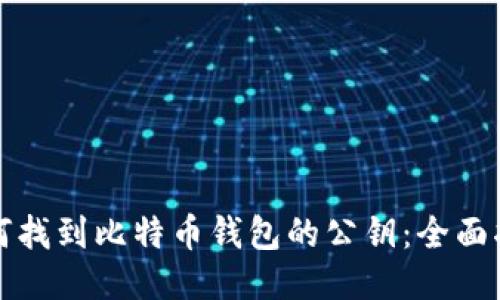 如何找到比特币钱包的公钥：全面指南