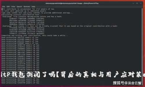BitP钱包倒闭了吗？背后的真相与用户应对策略