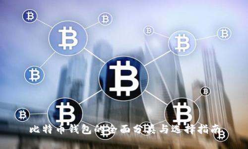 比特币钱包的全面分类与选择指南