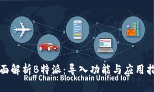 全面解析B特派：导入功能与应用指南