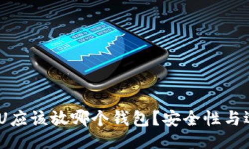 主体  
USDT的U应该放哪个钱包？安全性与选择指南