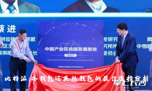 比特派：冷钱包还是热钱包的最佳选择分析
