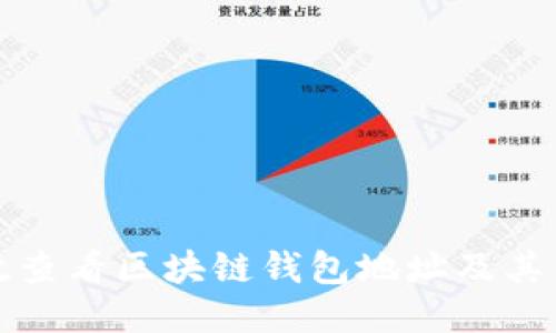 如何高效查看区块链钱包地址及其交易信息