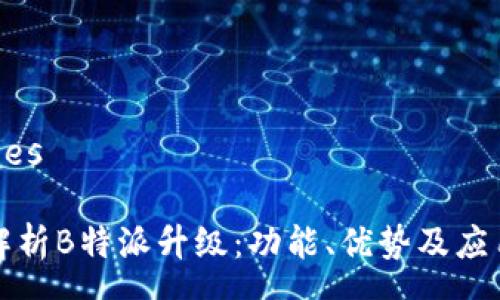 ações

全面解析B特派升级：功能、优势及应用场景
