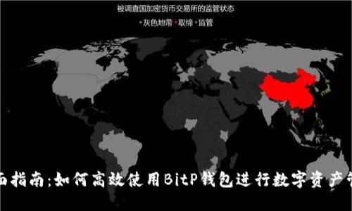 全面指南：如何高效使用BitP钱包进行数字资产管理