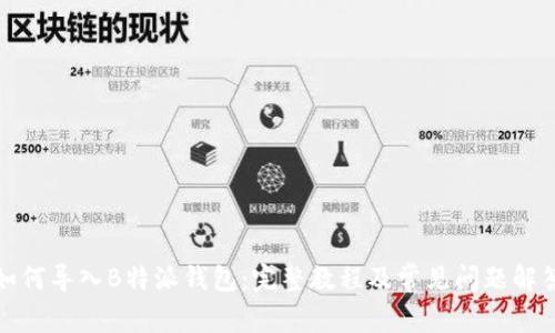 如何导入B特派钱包：完整教程及常见问题解答