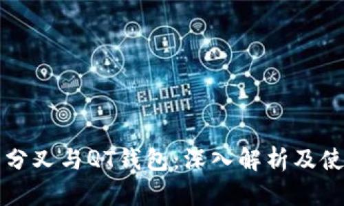 比特币分叉与QT钱包：深入解析及使用指南