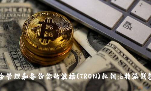 如何安全管理和备份你的波场(TRON)私钥：b特派钱包全解析