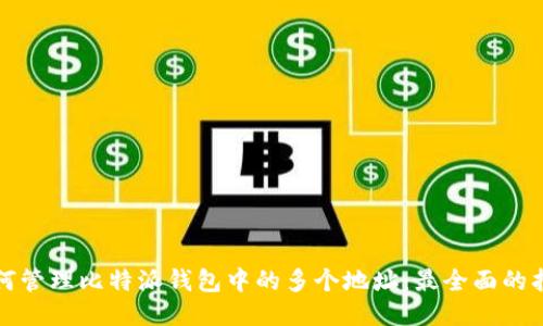 如何管理比特派钱包中的多个地址：最全面的指南