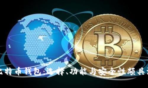 全面解析比特币钱包：选择、功能与安全性颇具深度的指南
