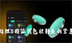 如何处理B特派钱包被转走的紧急情况