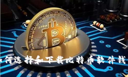 如何选择和下载比特币软件钱包
