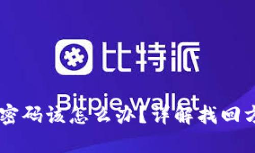 忘记USDT钱包密码该怎么办？详解找回方法与预防措施