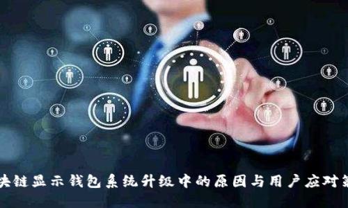区块链显示钱包系统升级中的原因与用户应对策略