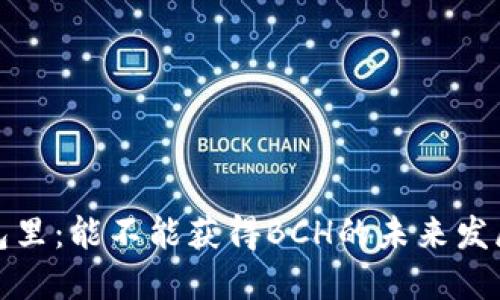 比特币在钱包里：能不能获得BCH的未来发展与趋势探讨