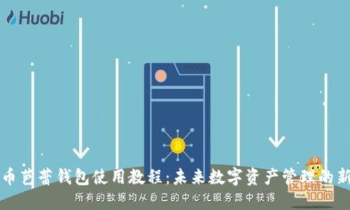 虚拟币芭蕾钱包使用教程：未来数字资产管理的新趋势