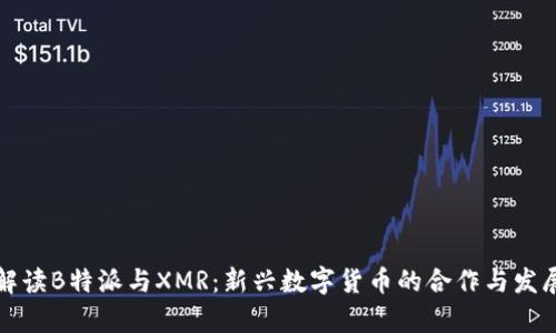 全面解读B特派与XMR：新兴数字货币的合作与发展前景
